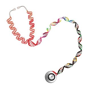 Stethoscope in the shape of a double helix. Stethoscope in the shape of a double helix.